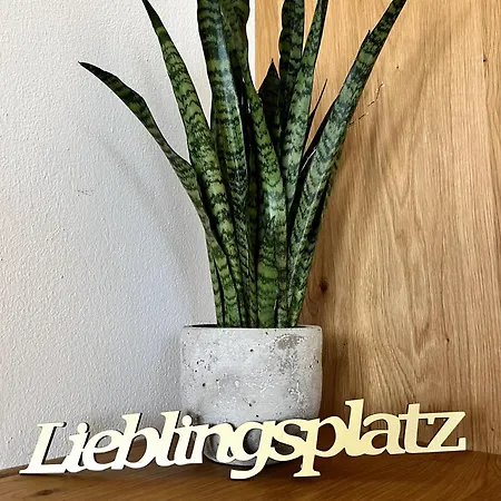 Apartment Der Wenger Werfenweng