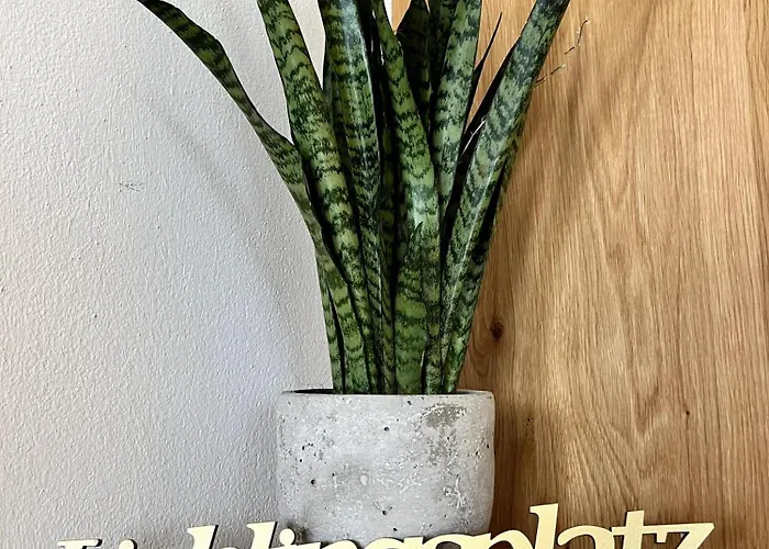 Apartment Der Wenger Werfenweng